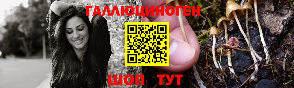 Краснокаменск  Псилоцибиновые грибы мицелий  Вход с VPN 